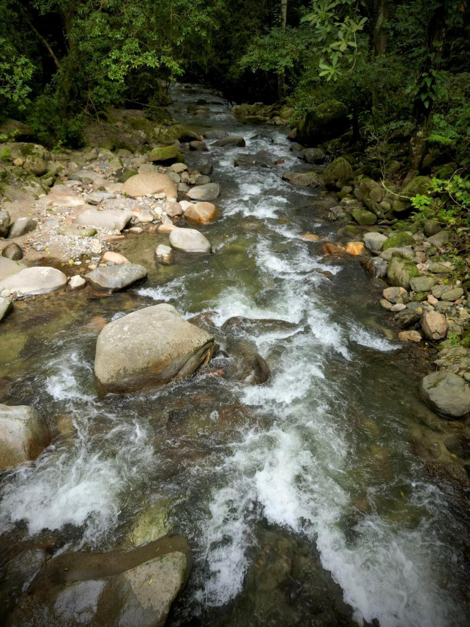 Las Cabanas Del Rio มินกา ภายนอก รูปภาพ
