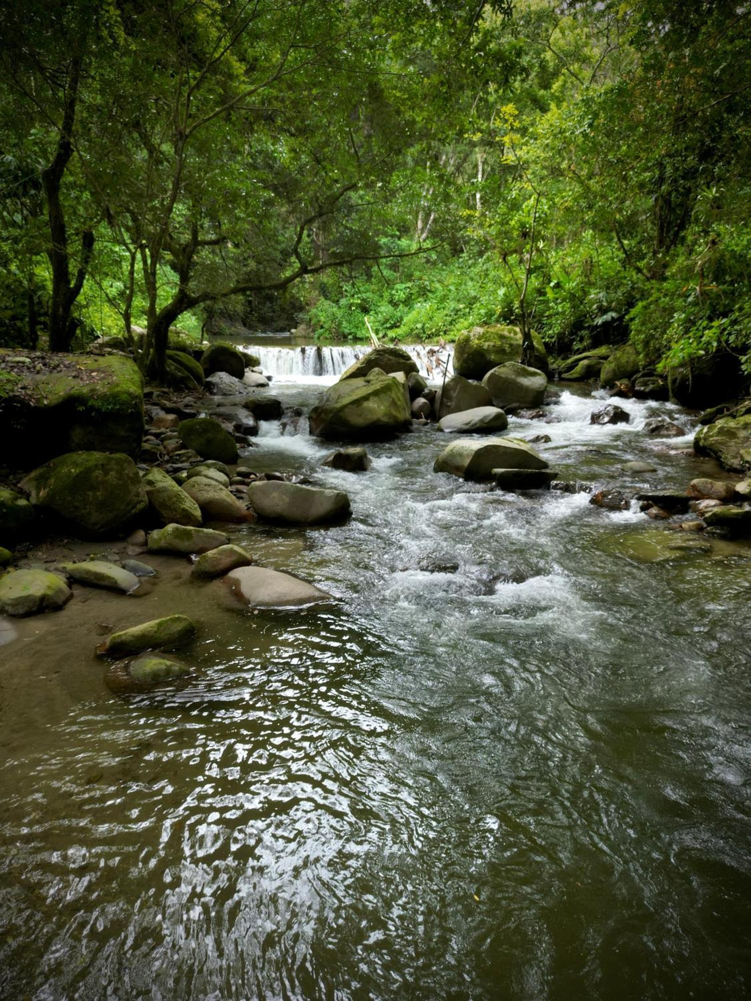 Las Cabanas Del Rio มินกา ภายนอก รูปภาพ